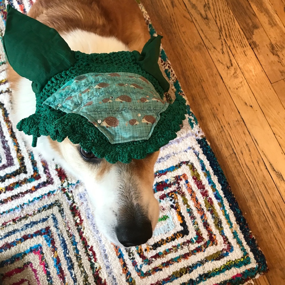 Custom hedgehog earbonnet with svoraski crystals